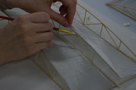 Model During Treatment